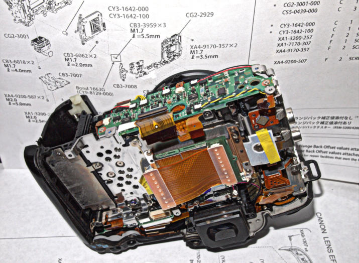 Canon 7D Body on Chart